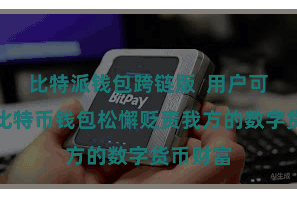 比特派钱包跨链版 用户可以通过比特币钱包松懈贬责我方的数字货币财富